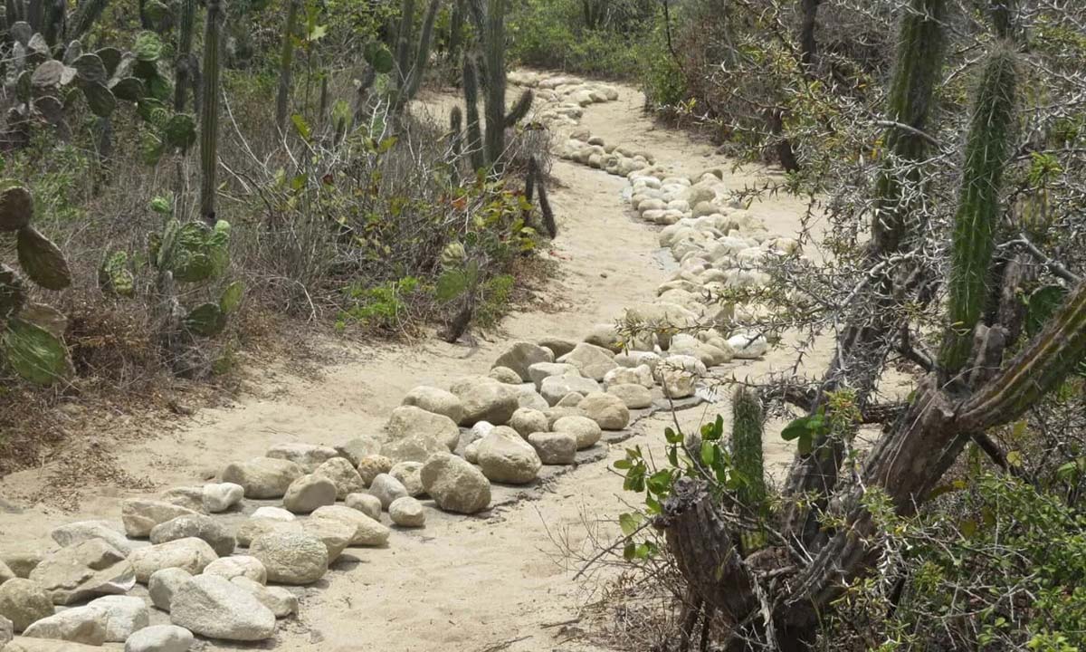 stones along the path